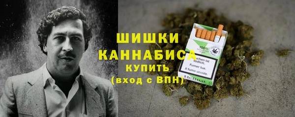 крисы Арсеньев