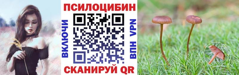 Галлюциногенные грибы Psilocybe  Арсеньев 